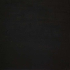 janina dordel 2011_80x80_schwarzbraun