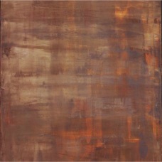 janina dordel 2012_60x80_terra