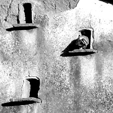 janina dordel photographie fotografie 628_FREIHEIT1_01_1_1