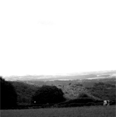 janina dordel photographie fotografie 1203_WEIDEmitAUSSICHT_2_1