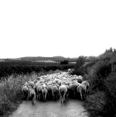 janina dordel photographie fotografie 443_RUSHHOUR3_2_1