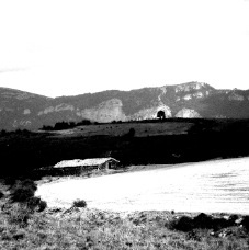 janina dordel photographie fotografie 155_desESELSstall_2_1